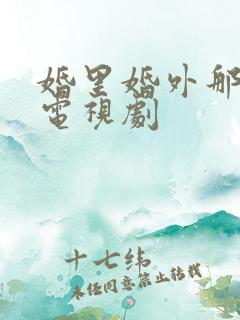 婚里婚外那些事电视剧