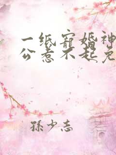 一纸宠婚神秘老公惹不起免费阅读