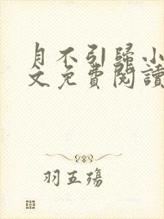 月不引归小说全文免费阅读