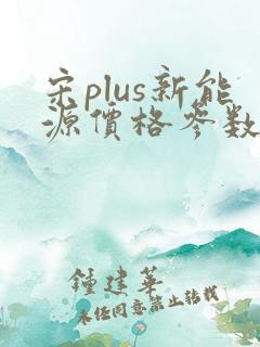 宋plus新能源价格参数