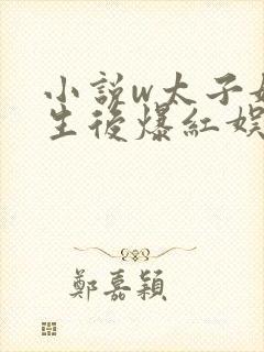 小说w太子妃重生后爆红娱乐圈》