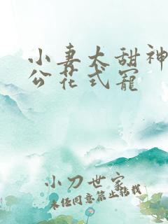 小妻太甜神秘老公花式宠