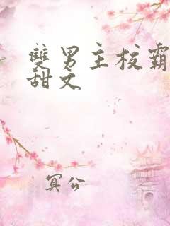 双男主校霸校园甜文