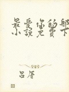 最爱你的那十年小说免费下载