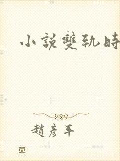 小说双轨时玖远