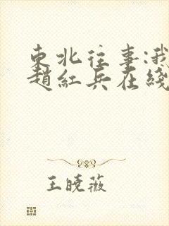 东北往事:我叫赵红兵在线观看完整