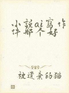 小说ai写作软件哪个好