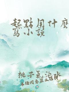 起点用什么软件写小说