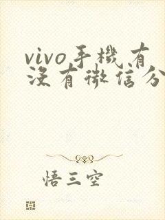 vivo手机有没有微信分身功能