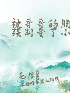 被哥哥的朋友们强制爱了小说