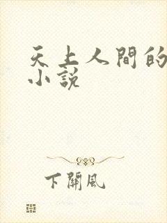 天上人间的故事小说