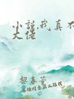 小说,我真不是大佬