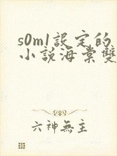 s0m1设定的小说海棠双男主