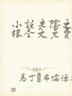 小说光阴之外耳根全文免费看