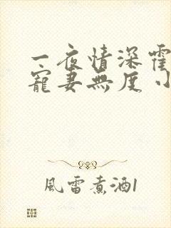 一夜情深霍先生宠妻无度 小说