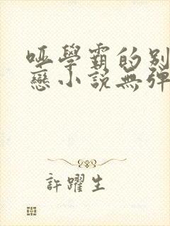 哑学霸的别样爱恋小说无弹窗