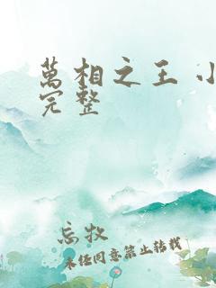 万相之王 小说完整