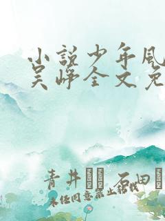 小说少年风水师吴峥全文免费