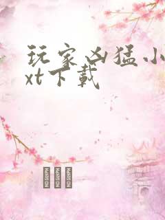 玩家凶猛小说txt下载