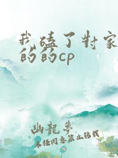 我磕了对家和我的的cp