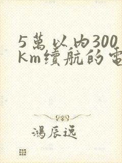 5万以内300km续航的电动汽车
