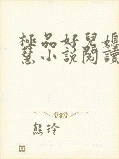 极品好儿媳李佳慧小说阅读全文