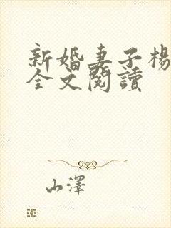 新婚妻子杨芷珊全文阅读