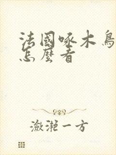 法国啄木鸟系列怎么看