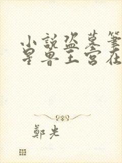 小说盗墓笔记七星鲁王宫在线阅读