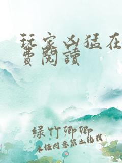 玩家凶猛在线免费阅读