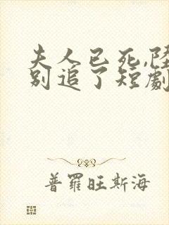 夫人已死,陆总别追了短剧