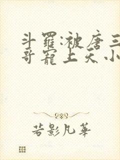 斗罗:被唐三哥哥宠上天小说读