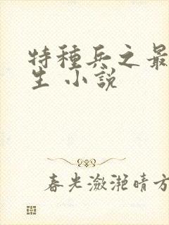 特种兵之最强医生 小说