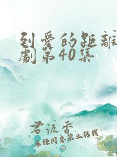 到爱的距离电视剧第40集