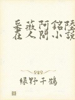 采薇阿铭陆三平在人间小说