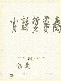 小说折尽春风待月归免费阅读