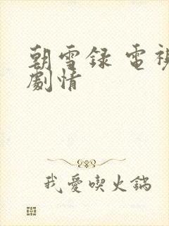 朝雪录 电视剧剧情