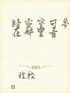 精灵宝可梦旅途在哪里看