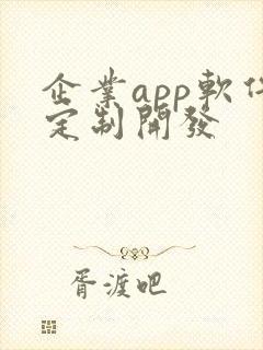 企业app软件定制开发