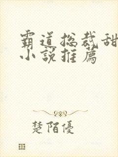 霸道总裁甜宠文小说推荐