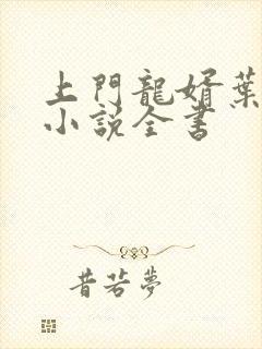 上门龙婿叶辰的小说全书