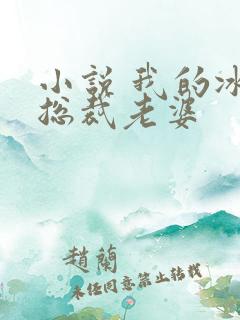 小说 我的冰山总裁老婆