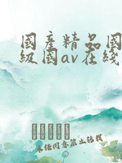 国产精品国产三级国av在线观看