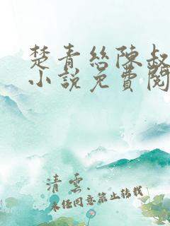 楚青丝陈叔黄震小说免费阅读