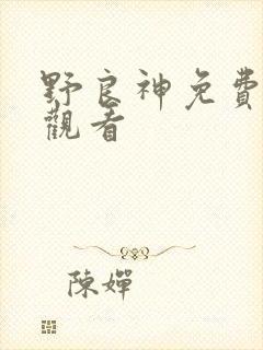野良神免费在线观看