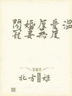 闪婚厚爱温先生宠妻无度