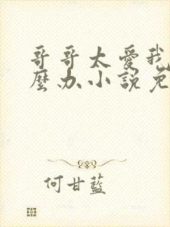 哥哥太爱我了怎么办小说免费阅读