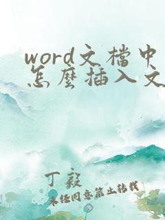word文档中怎么插入文件