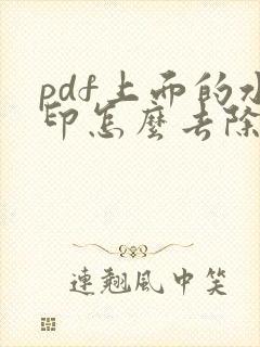 pdf上面的水印怎么去除