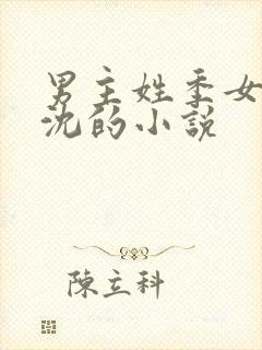 男主姓季女主姓沈的小说